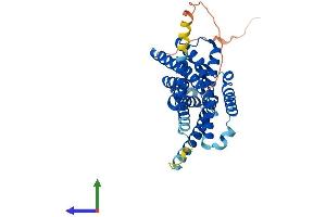 AlphaFold protein structure predicition of Human Recombinant MTNR1A Protein, UniprotID P48039