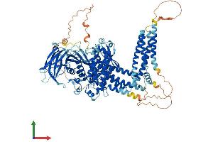 AlphaFold protein structure predicition of Mouse Recombinant Inpp4a Protein, UniprotID Q9EPW0