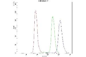 Flow Cytometry analysis of A549 cells using anti-PDE4D antibody (ABIN5693278). (PDE4D anticorps  (AA 466-709))