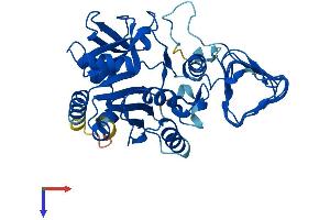 AlphaFold protein structure predicition of Human Recombinant GMPPA Protein, UniprotID Q96IJ6