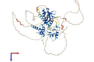 AlphaFold protein structure predicition of Mouse Recombinant Irf2bp1 Protein, UniprotID Q8R3Y8
