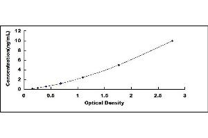 Typical standard curve (CSN2 Kit ELISA)