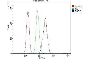 Flow Cytometry analysis of U937 cells using anti-RGS18 antibody (ABIN7599123).