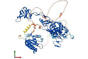 AlphaFold protein structure predicition of Mouse Recombinant Gphn Protein, UniprotID Q8BUV3
