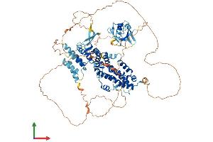 AlphaFold protein structure predicition of Mouse Recombinant Ralgds Protein, UniprotID Q03385
