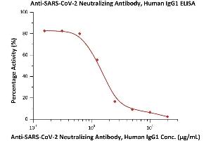Serial dilutions of Anti-SARS-CoV-2 Neutralizing Antibody, Human IgG1 (ABIN6952616) was detected by SARS-CoV-2 Inhibitor screening Kit (ABIN6952717) with a half maximal inhibitory concentration (IC50) of 1.