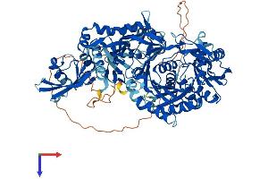 AlphaFold protein structure predicition of Mouse Recombinant Piwil1 Protein, UniprotID Q9JMB7