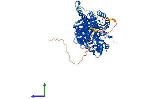 AlphaFold protein structure predicition of Mouse Recombinant Dpysl3 Protein, UniprotID Q62188