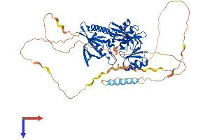 AlphaFold protein structure predicition of Human Recombinant SYN2 Protein, UniprotID Q92777