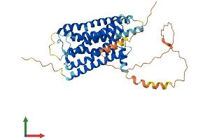 AlphaFold protein structure predicition of Mouse Recombinant Hrh2 Protein, UniprotID P97292