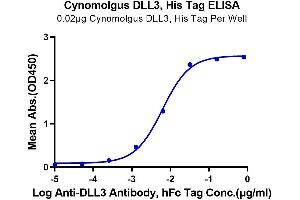 Immobilized Cynomolgus DLL3, His Tag at 0.
