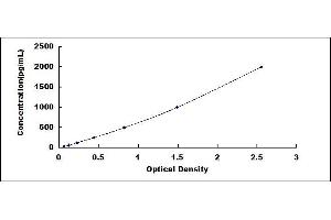 WNT1 Inducible Signaling Pathway Protein 1 (WISP1) ELISA Kit