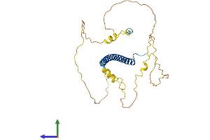 AlphaFold protein structure predicition of Mouse Recombinant Cebpe Protein, UniprotID Q6PZD9