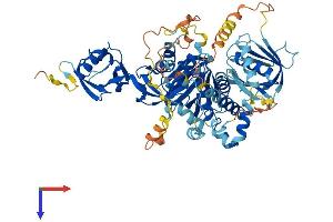 AlphaFold protein structure predicition of Mouse Recombinant Fermt2 Protein, UniprotID Q8CIB5