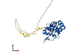 AlphaFold protein structure predicition of Mouse Recombinant Pacrgl Protein, UniprotID Q9D3X5