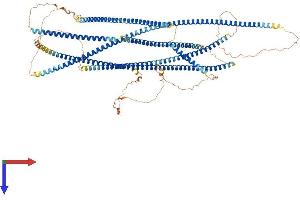 Family with Sequence Similarity 184, Member B (FAM184B) (AA 1-1060) protein (His tag)