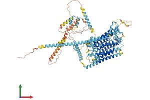 AlphaFold protein structure predicition of Human Recombinant TMC6 Protein, UniprotID Q7Z403