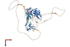 AlphaFold protein structure predicition of Human Recombinant RPH3A Protein, UniprotID Q9Y2J0