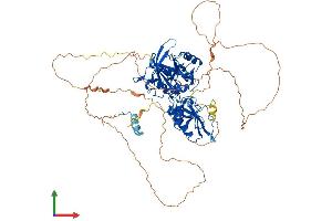 AlphaFold protein structure predicition of Mouse Recombinant Dclre1c Protein, UniprotID Q8K4J0