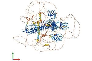 AlphaFold protein structure predicition of Mouse Recombinant Scrib Protein, UniprotID Q80U72