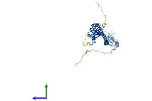 AlphaFold protein structure predicition of Human Recombinant TRIM54 Protein, UniprotID Q9BYV2