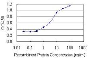 Detection limit for recombinant GST tagged NANOS3 is 0. (NANOS3 anticorps  (AA 1-100))