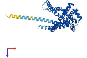 AlphaFold protein structure predicition of Mouse Recombinant Slc25a42 Protein, UniprotID Q8R0Y8
