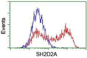 HEK293T cells transfected with either RC204162 overexpress plasmid (Red) or empty vector control plasmid (Blue) were immunostained by anti-SH2D2A antibody (ABIN2455613), and then analyzed by flow cytometry. (SH2D2A anticorps)