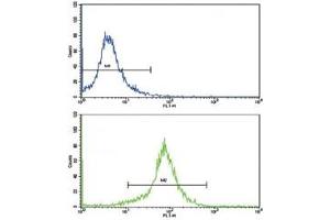 Flow cytometric analysis of K562 cells using SOD3 antibody (green) compared to a negative control (blue).