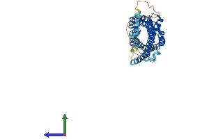 AlphaFold protein structure predicition of Mouse Recombinant Ccr4 Protein, UniprotID P51680