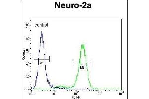 DDX11 Antibody (Center) (ABIN654411 and ABIN2844149) flow cytometric analysis of Neuro-2a cells (right histogram) compared to a negative control cell (left histogram). (DDX11 anticorps  (AA 656-683))