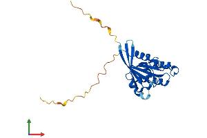 AlphaFold protein structure predicition of Mouse Recombinant Rab5a Protein, UniprotID Q9CQD1