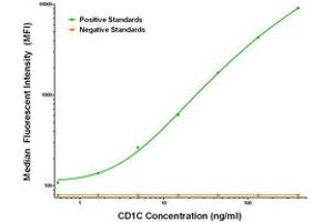 Luminex Assay (LMNX) image for anti-T-cell surface glycoprotein CD1c (CD1C) antibody (ABIN2672085)