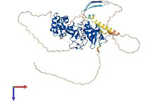 AlphaFold protein structure predicition of Mouse Recombinant Mtf2 Protein, UniprotID Q02395