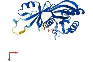 AlphaFold protein structure predicition of Human Recombinant MED20 Protein, UniprotID Q9H944