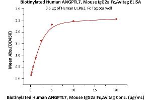 Immobilized Human LILRB2, Fc Tag (ABIN5526660,ABIN5526661) at 5 μg/mL (100 μL/well) can bind Biotinylated Human ANGPTL7, Mouse IgG2a Fc,Avitag (ABIN5954950,ABIN6253625) with a linear range of 0. (ANGPTL7 Protein (AA 27-346) (Fc Tag,AVI tag,Biotin))