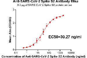 Elisa plate pre-coated by 2 μg/mL(100 μL/well) SARS-CoV-2 Spike S2 protein can bind Rabbit Anti-SARS-CoV-2 Spike S2 monoclonal antibody (clone:DM24) in a linear range of 1. (SARS-CoV-2 Spike S2 anticorps)