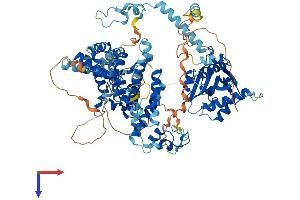AlphaFold protein structure predicition of Human Recombinant KAT2B Protein, UniprotID Q92831