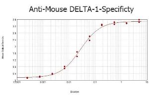 ELISA results of purified Rabbit anti-Mouse DELTA-1 Antibody tested against BSA-conjugated peptide of immunizing peptide.