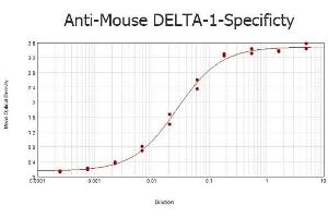 ELISA results of purified Rabbit anti-Mouse DELTA-1 Antibody tested against BSA-conjugated peptide of immunizing peptide. (DLL1 anticorps  (AA 155-173))