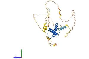 AlphaFold protein structure predicition of Human Recombinant MESP1 Protein, UniprotID Q9BRJ9
