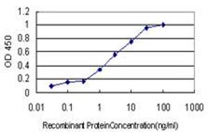 Detection limit for recombinant GST tagged TAX1BP3 is approximately 0.