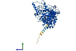 AlphaFold protein structure predicition of Mouse Recombinant Galnt4 Protein, UniprotID O08832