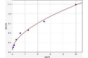 Typical standard curve (TOP2B Kit ELISA)