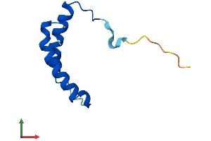 AlphaFold protein structure predicition of Human Recombinant TRIAP1 Protein, UniprotID O43715
