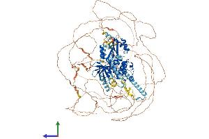 AlphaFold protein structure predicition of Human Recombinant WNK4 Protein, UniprotID Q96J92