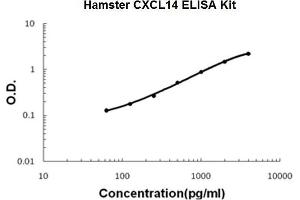 Hamster CXCL14 PicoKine ELISA Kit standard curve (CXCL14 Kit ELISA)