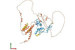 AlphaFold protein structure predicition of Mouse Recombinant Bcl6b Protein, UniprotID O88282