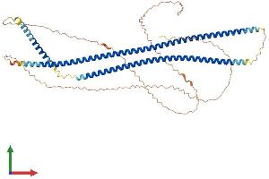 AlphaFold protein structure predicition of Mouse Recombinant Krt10 Protein, UniprotID P02535