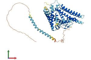 AlphaFold protein structure predicition of Human Recombinant SOAT1 Protein, UniprotID P35610